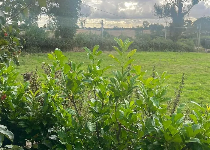 Marie's Country Semesterbostad Ardee